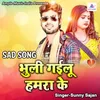 About Bhuli Gailu Hamra Ke Song